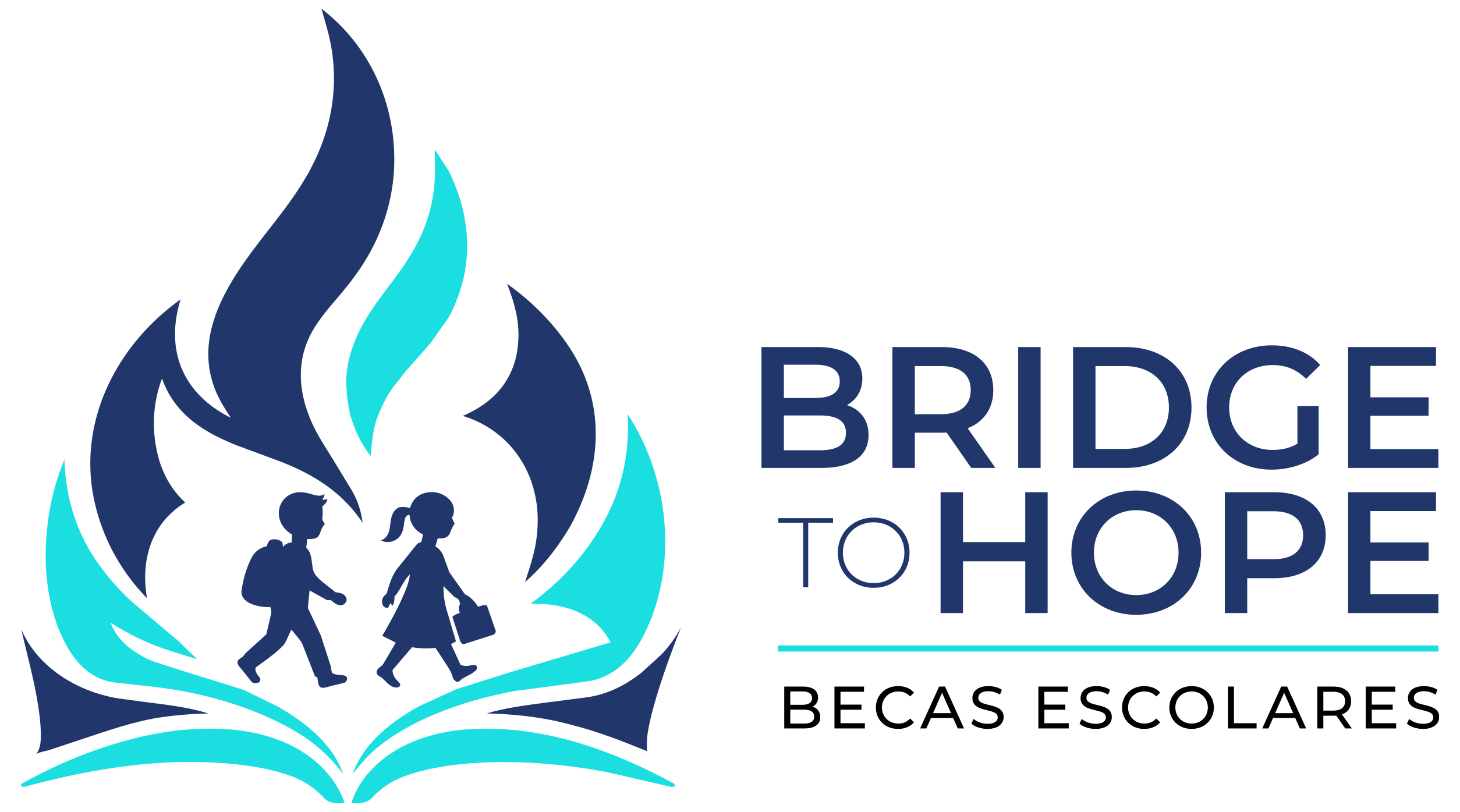 Bridge to Hope
